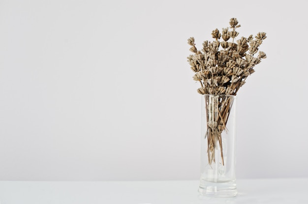 Фото Сушеные лавандовые ветви на вазе