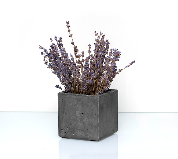 Dried lavender flowers in a modern vase