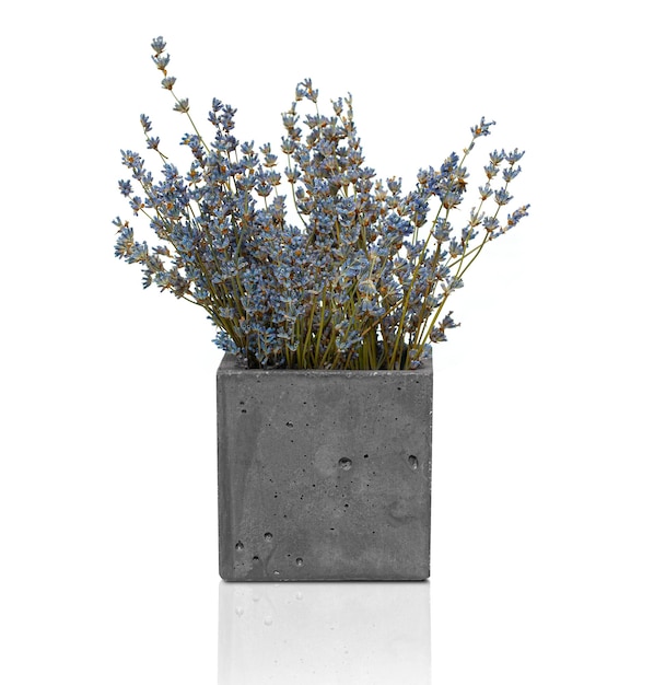 Photo dried lavender flowers in a modern vase