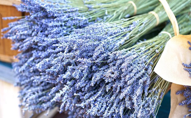 Dried lavender flowers with bracts lamiaceae mint family plant light purple colour pattern of small natural violet elements aromatic mediterranean product