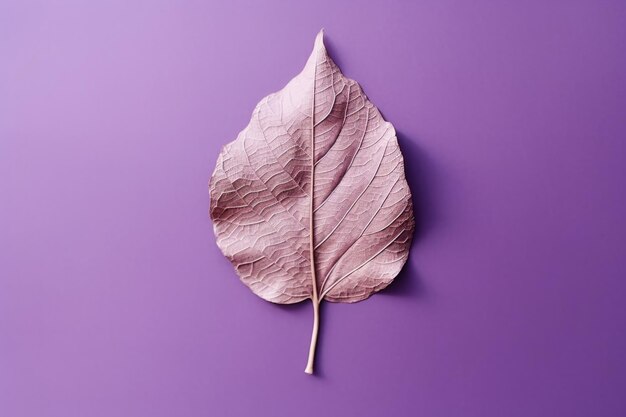 Dried leaf on a purple color background in the style of playful compositions