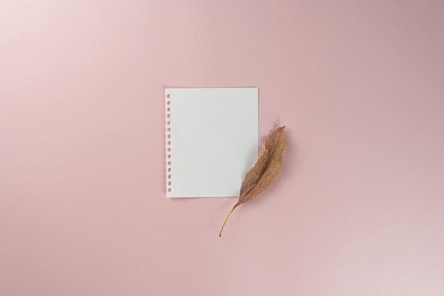 Dried leaf with a white note on pick background