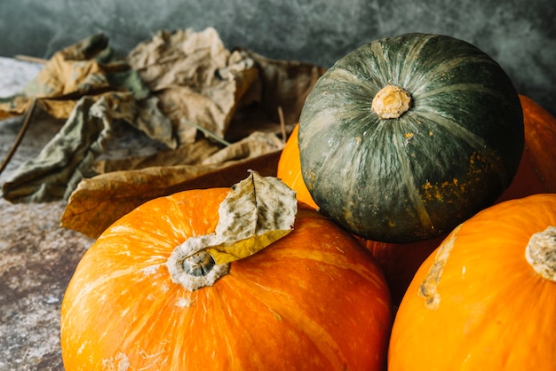 Dried leaves near fresh pumpkins