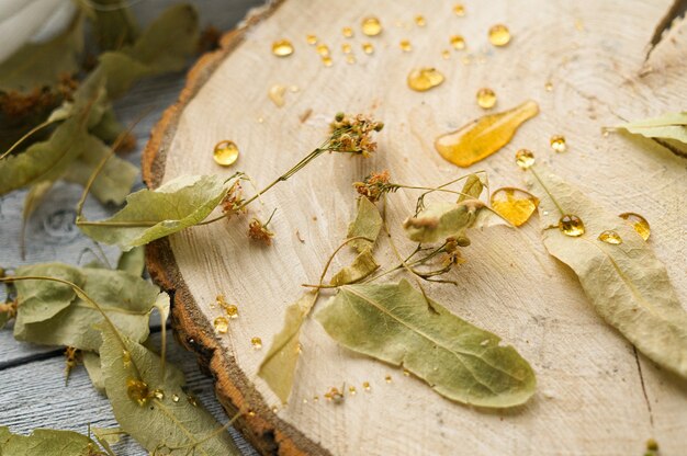 Fiori di tiglio secchi sulla fetta di legno