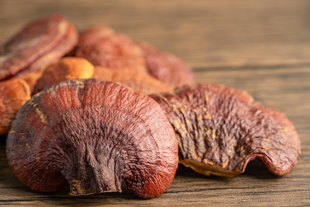 Dried lingzhi mushroom isolated on white background with clipping path.