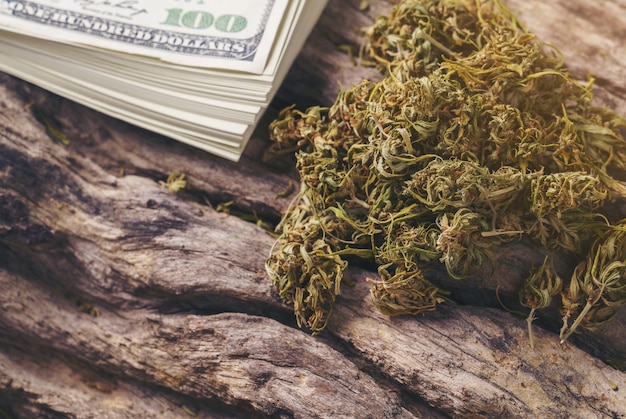 Marijuana medica secca con banconote da un dollaro