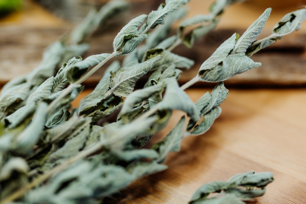 dried mint on wooden surface