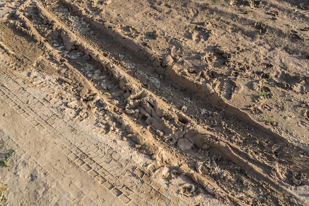 Dried mud on a dirt road in summer