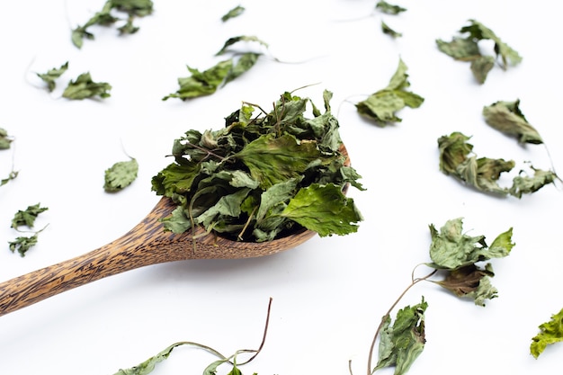 Dried mugwort leaves on white background.