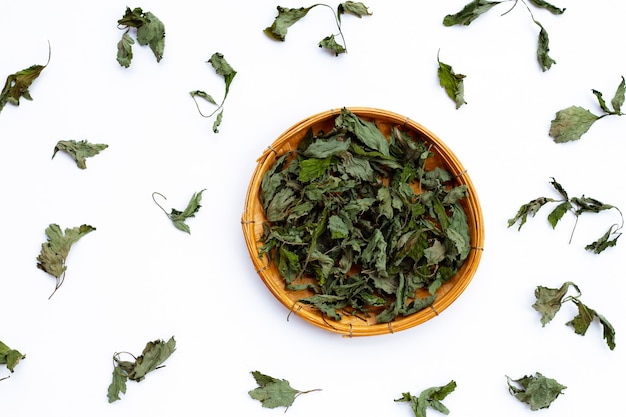 Dried mugwort leaves on white.