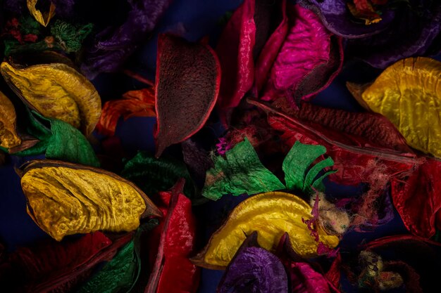 Dried multicolored petals on a dark background