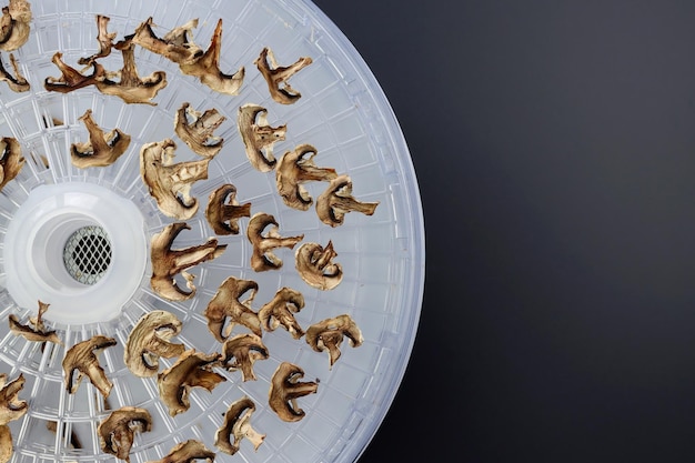 Dried mushroom slices on a dehydrator grate