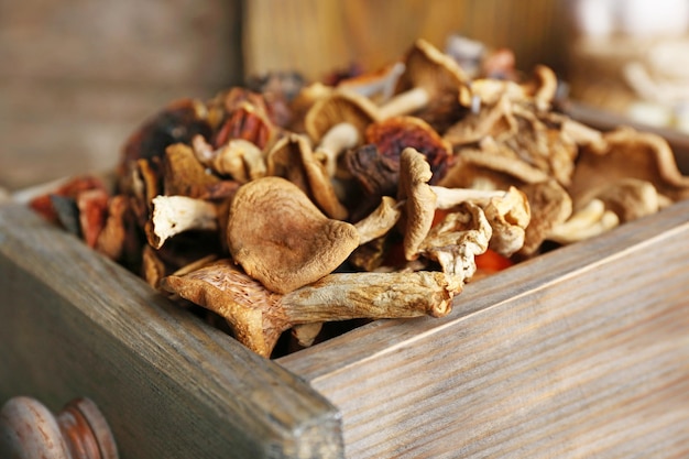 Dried mushrooms in crate closeup