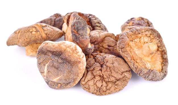 Dried mushrooms on a white background