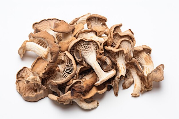 Dried mushrooms on white background