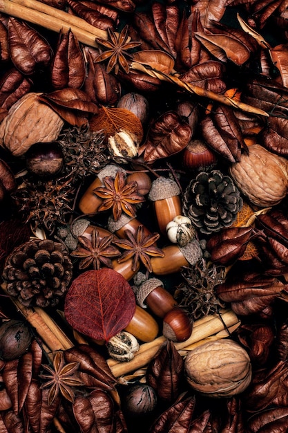 Dried nuts cinnamon sticks and dry leaves in a close up view