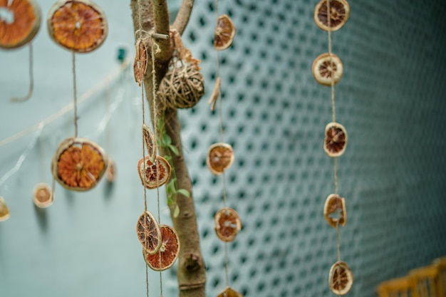 Dried orange and grapefruit decoration hanging on tree branch Garland with slices of dried orange