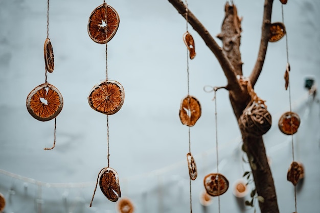 Dried orange and grapefruit decoration hanging on tree branch Garland with slices of dried orange