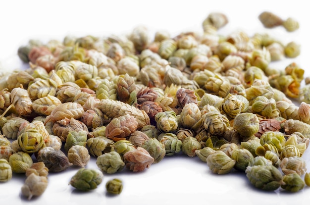 Dried oregano flowers on white background