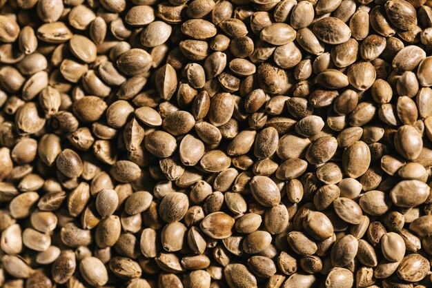 Dried organic hemp seeds background