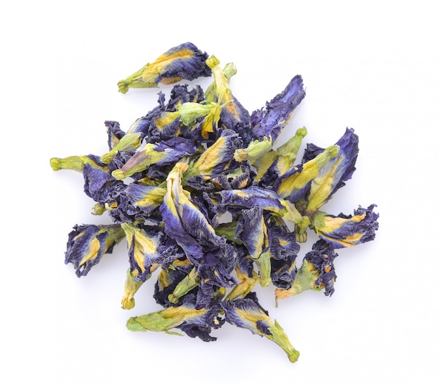 Dried pea flower on white surface