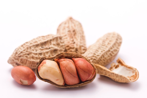 Dried peanuts in closeup on white background