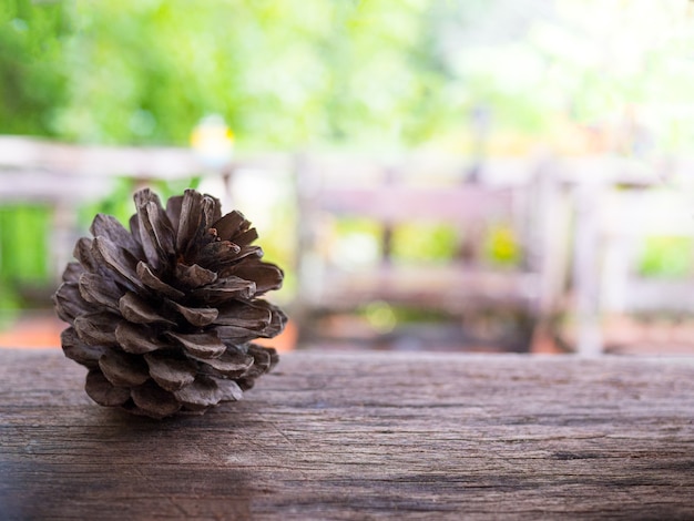 Dried pine cone are placed on a wooden table with blurred green plants.