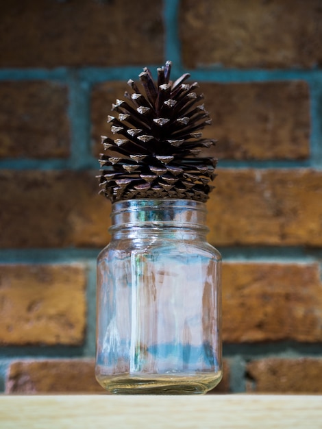 Photo dried pine cone on a bottle nose