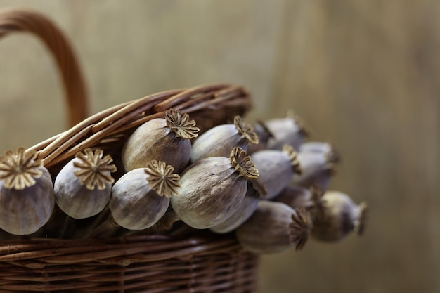 dried poppies in a brown basket