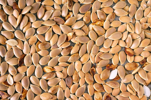 Dried pumpkin seeds top view