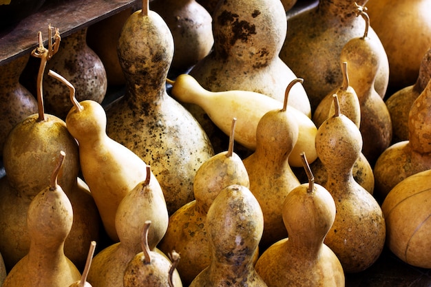 Dried pumpkins for traditional turkish lamps