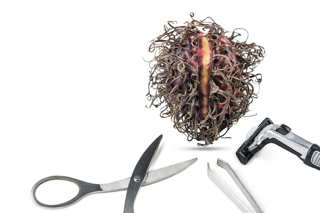 Photo dried rambutan and hair removal equipment