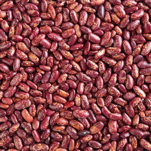 Dried red pinto beans background