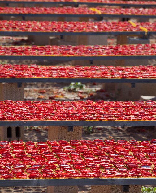 Dried red ripe tomatoes,