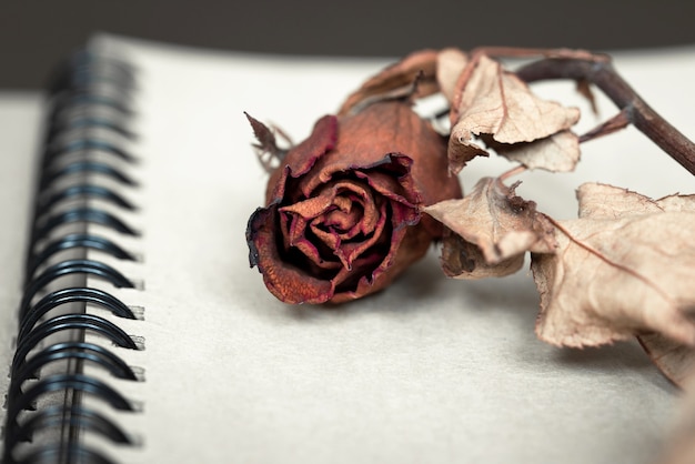 A dried red rose on notebook.Keep for memorial with vintage style.