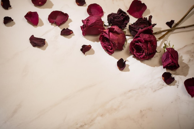 Dried red roses on marble background