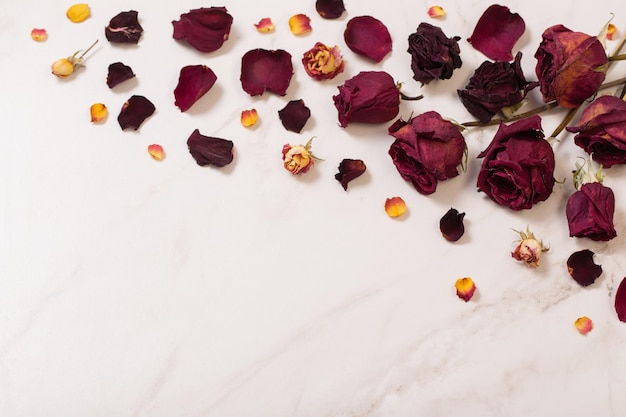 Dried red roses on marble background