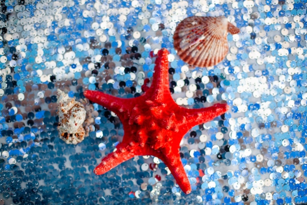 Dried red sea starfish on silver cloth