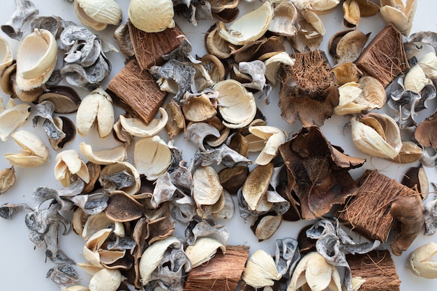 dried rose flowers on white background