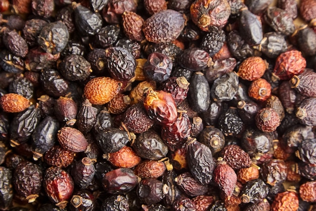 Dried rose hip fruits for herbal tea closeup