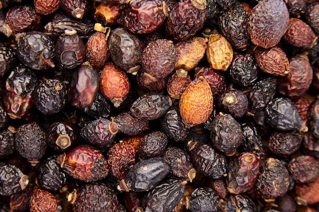 Dried rose hip fruits for herbal tea food background top view