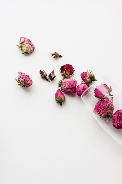 Dried roses in a glass of champagne