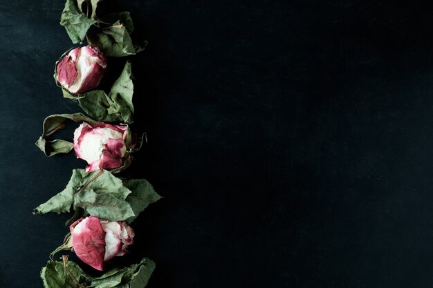 Dried roses and leaves black  with copyspace , top view 