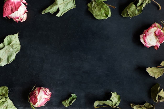 Dried roses and leaves on black