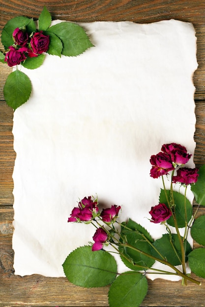 Dried roses on sheet of paper