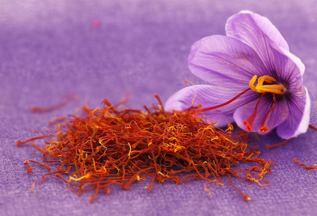 写真 乾燥サフラン スパイスとサフランの花