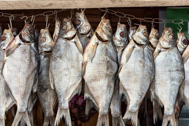 Foto pesce di fiume salato essiccato appeso a ganci vobla