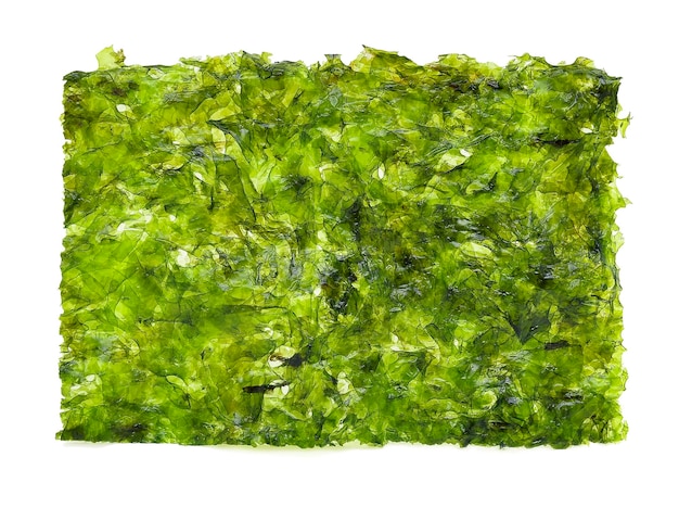 Dried seaweed isolated on white background