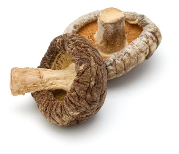 Dried Shiitake Mushroom isolated on white background