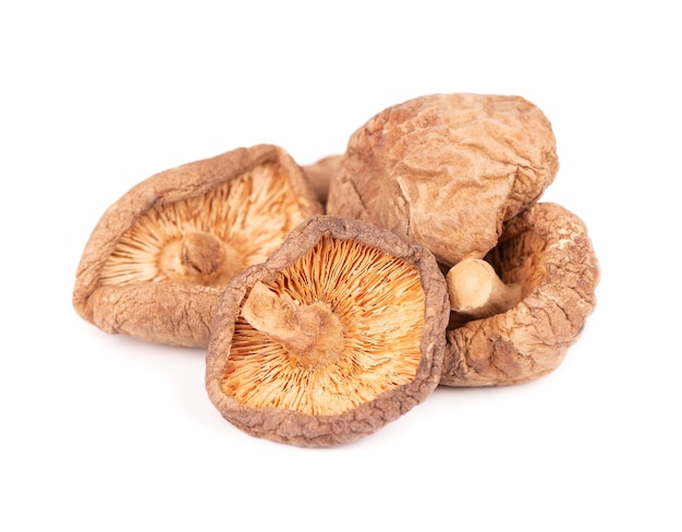 Dried shiitake mushrooms, isolated on white background. Japanese forest mushroom. Lentinula edodes. Close up.